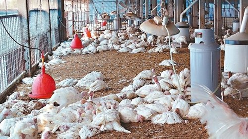 �_�������׻��u�������������и���ɓ䚢���_����(li��n)�ψ�(b��o)��ӛ���x�M(j��n)ʢ���zӰ