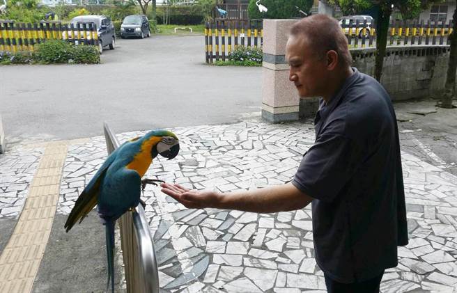 �C�`�W�^�����������u �w���ɳ��������