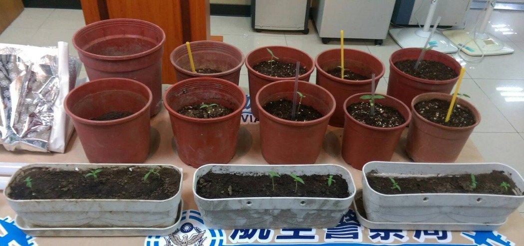 �`��������ɿ��n���Y �_�����Ӿ�Ȼ����