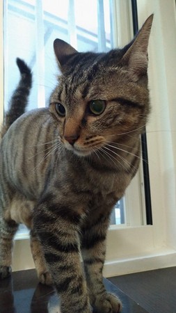 ��؈�����U�[���i�^ ���ɰ���Ę׌�˺�Ц������