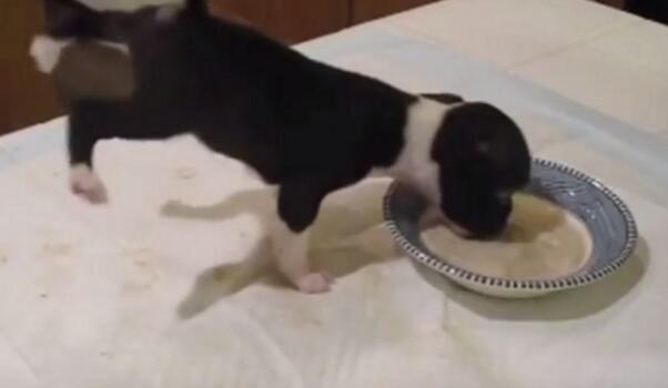 С�S�����ʩչ"�h����" �p�_�e�^�^180���D��Ȧ