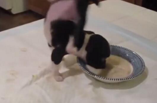 С�S�����ʩչ"�h����" �p�_�e�^�^180���D��Ȧ