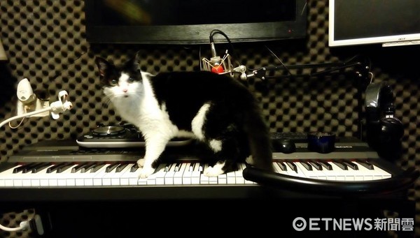 "����"�x�� ����������:���o���Ҷ�ʮ�겻��