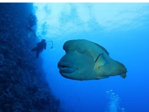 �_(t��i)���m�Z�lΣ���������� ���г����~Ƭ���¶�