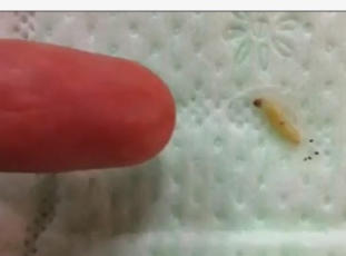 ֪��Ʒ���l(w��i)�����л��x(ch��ng)��4�w��� �W(w��ng)�ч�����