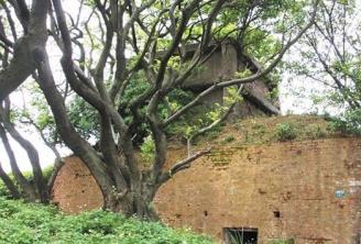 �҈@���ճ��_�l(f��)�֚�����(zh��n)�z�E �W(xu��)�ߓ�(d��n)�n