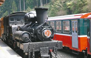 �_(t��i)������ɽɭ���F·102�q ʥ�Q��(ji��)���؆��uľ܇(ch��)��