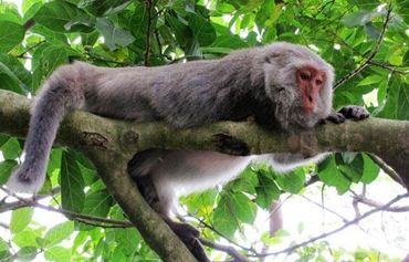 �_��(d��ng)�֞鱣�o(h��)�r(n��ng)�������C���J�� ���������HЦԒ��