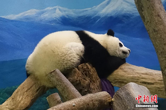 �_������:����؈ǧ�𡰈A�С��_ʼ��������(�D)