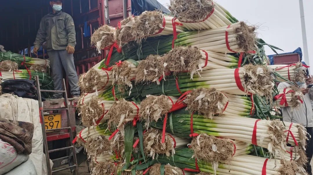 �����f�R�r(sh��)���У��°l(f��)���������������׶����˻@�ӡ�����(y��ng)����