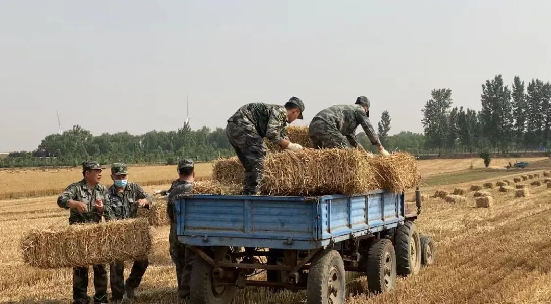 Ф˼�h��ĸ��ɶ͵͵�����ӣ������ǡ���