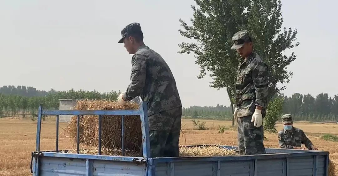 Ф˼�h��ĸ��ɶ͵͵�����ӣ������ǡ���