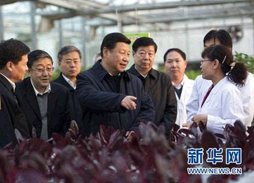 2013��11��27������������ƽ��ɽ�|ʡ�r�I�ƌWԺ���ܻ������˽��r�I�Ƽ�������r�� ���A��ӛ���x�h�Y �z