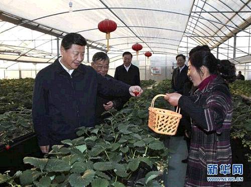 2014��12��13������������ƽ��悽��е�ͽ�^���I����h���r�I�@��ݮ������ز쿴��ݮ���L��r�����A��ӛ�� �m�t�� �z