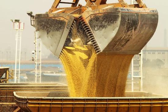 東北“嚴打”轉基因 或已有非法轉基因種子流入 東北“嚴打”轉基因 或已有非法轉基因種子流入