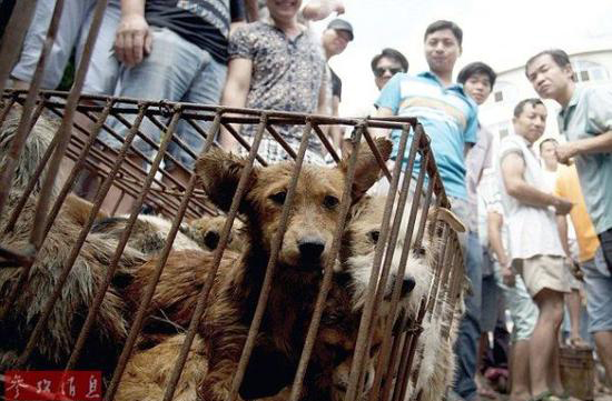 ��ý�۽��Ї��l(xi��ng)�g���¶���������Ѫ�Ȳ���ֱҕ