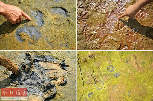 ��ý:�Ї�(gu��)������Ⱦ��(y��n)�� �ӱ����ִ��f�ֲ��l�l(f��)