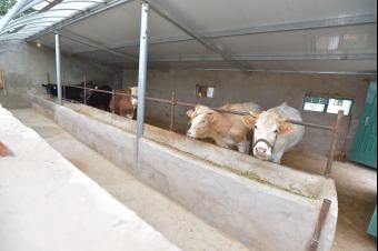 習總書記固原行——走好新的長征路 習總書記固原行——走好新的長征路