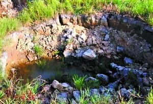 ������F(xi��n)���ݵ���r��