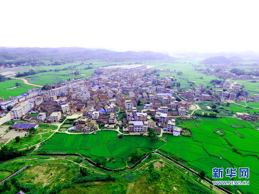 �����L�����l�ظ����������tɫ����н������ ���������ƵZǰ��