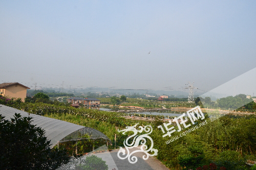 �ɹ��˚�׃����(j��ng)����ڡ�