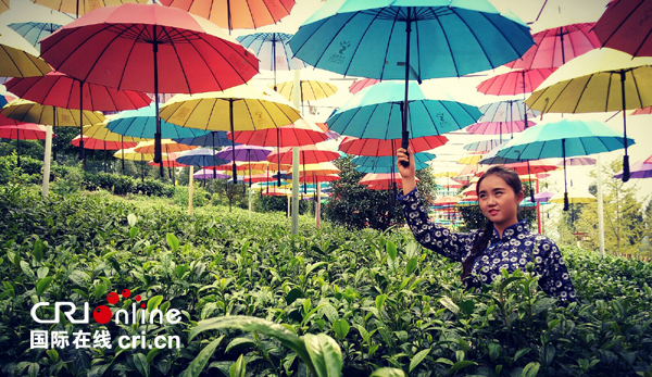 �DƬĬ�J���}