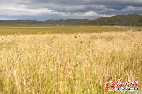 ���W�jý�w���D�ġ������L���D�U�� �_���صء��Ҹ�����