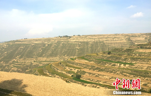 ��·���Ե����������¾W(w��ng) �N�� �z