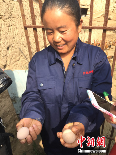 �߿�ϼչʾ�u�������¾W(w��ng) �N�� �z