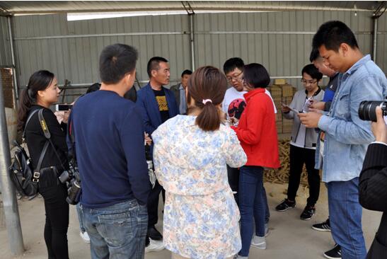 ӛ������������¸�·�ώ��^��