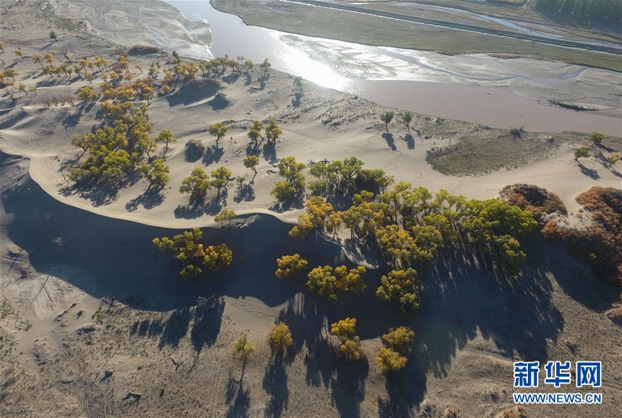 (���Aȫý�^�l����ɳ��ɳ���D�Ļ���)(1)���Ӻ�����ӛ