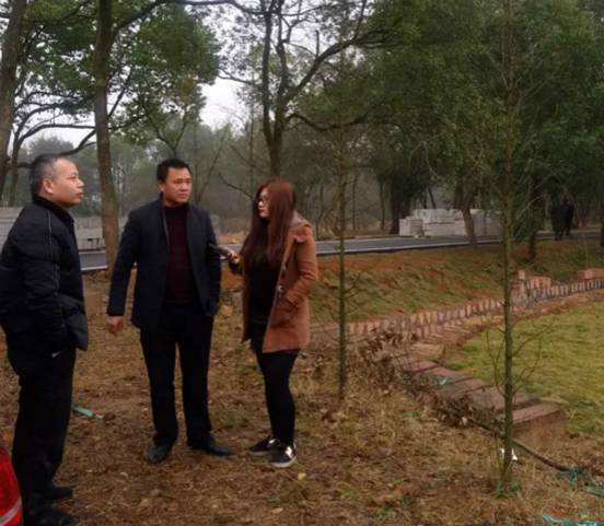 ���W�jý�w���D�ġ�׌�ϰ����Լ����õ����������l��ͳ�悽��O