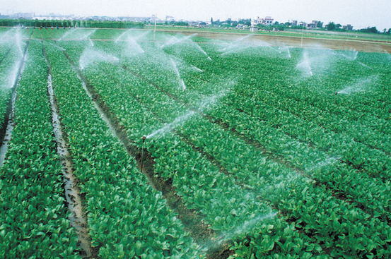 ���ƵZ�^�M�����꡿�Ĵ�������ꖅ^Óؚ���� С��·�ϡ�һ���������١�