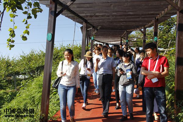 ���ƵZ�^�M�����ꡤ�۽��󔵓����F�����ģ��ǻ۴󔵓������a�I���ʻ�