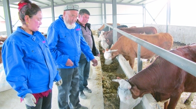 Ī���F��˴������׃��