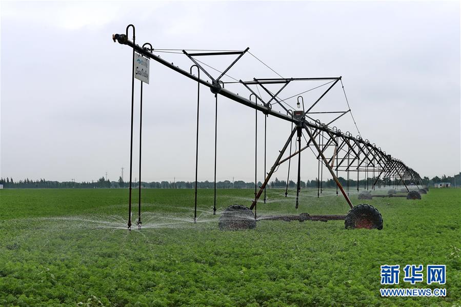 ���Ї������r�����D�Ļ��ӣ���1����������_��ƪ�����h��ʮ�˴��ԁ��҇������r���lչ�ɾ;C��