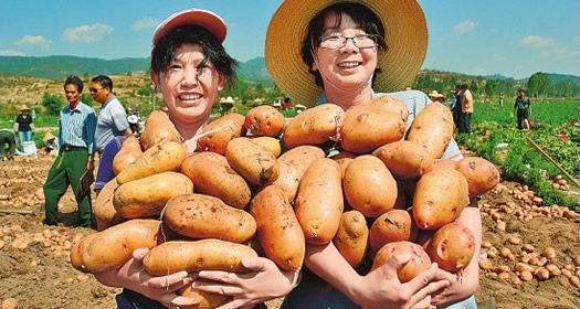 (�r��ϲ�@�S��)