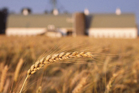 �����ϾW(w��ng)�����x��ʮ�Ŵ󡿌�(sh��)�F(xi��n)С�r(n��ng)���ͬF(xi��n)���r(n��ng)�I(y��)�l(f��)չ�ЙC(j��)㕽�