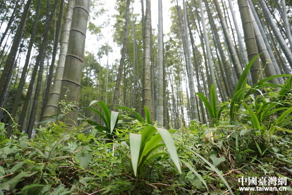 ��������