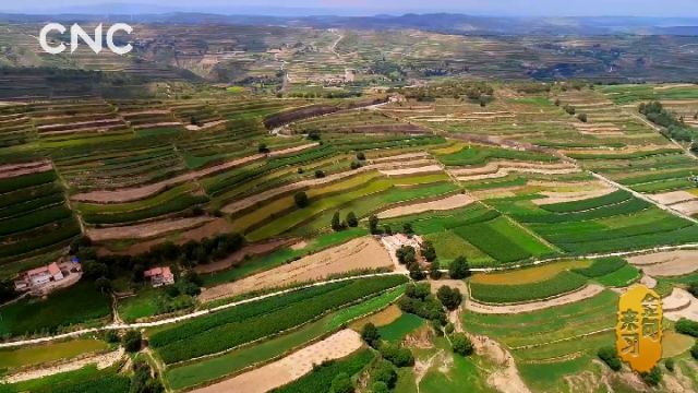 ����(l��i)��(x��)�� (t��ng)��(x��)��ƽ�ɕ�(hu��)��䡡����(gu��)��ú�ɽ