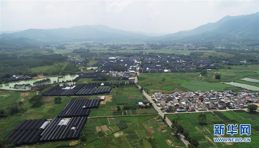 ��������ƽ�r���Ї���ɫ������x˼��ָ���¡����r����������ƪ�¡�����ӛ�P�ĵİ�����߅�¡��D�Ļ��ӣ���1�����Ƽ���š��o��Ұ������ϣ��