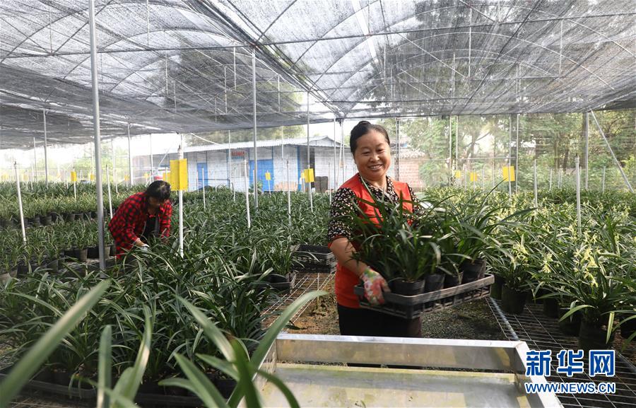 ��������ƽ�r���Ї���ɫ������x˼��ָ���¡����r����������ƪ�¡�����ӛ�P�ĵİ�����߅�¡��D�Ļ��ӣ���2�����Ƽ���š��o��Ұ������ϣ��