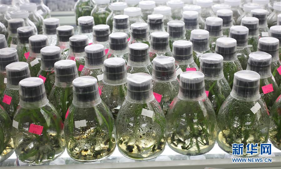 ��������ƽ�r���Ї���ɫ������x˼��ָ���¡����r����������ƪ�¡�����ӛ�P�ĵİ�����߅�¡��D�Ļ��ӣ���3�����Ƽ���š��o��Ұ������ϣ��