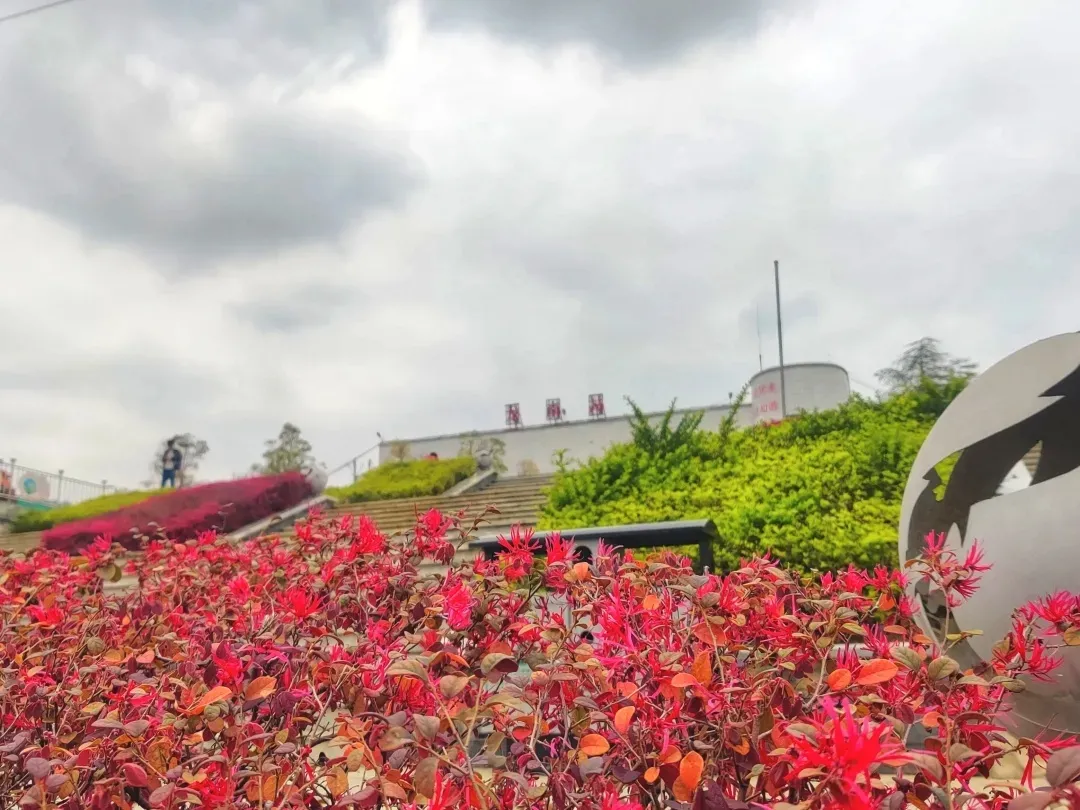 ̽���F·���������̡������l�F�����F·�����ճ��l��