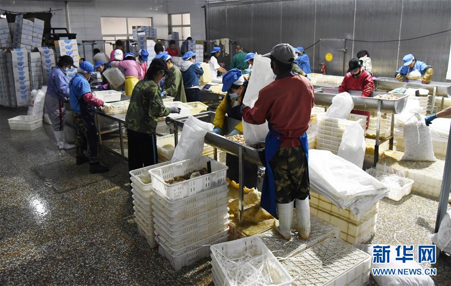 �����Aȫý�^�l�������҂���С������D�Ļ��ӣ���3���Ҹ�С���뮋�������R��������LС���®���