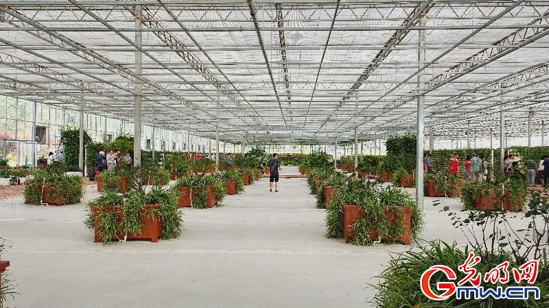 ���l�F�����F·�������ؾ��a�I�lչ ���M���F��Óؚ����ע���»���