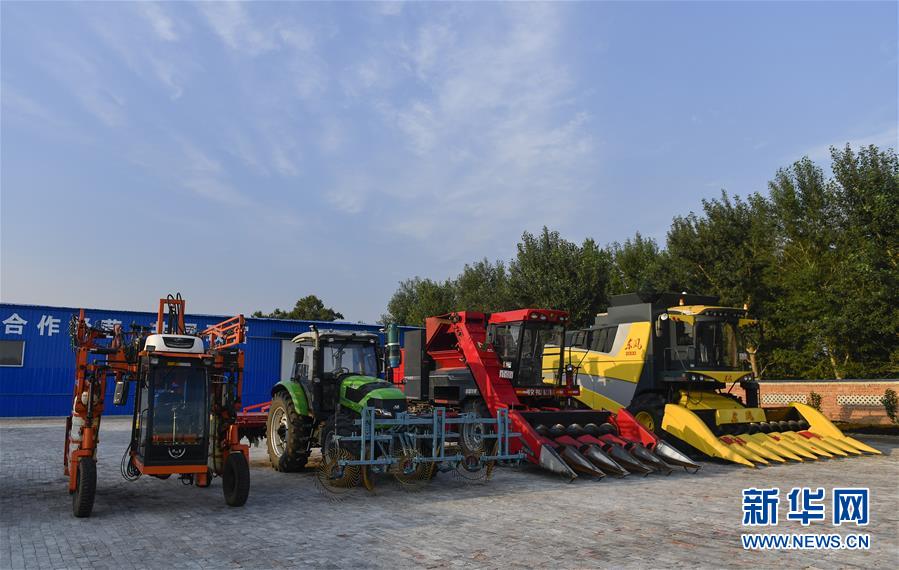 �����Aȫý�^�l���D�Ļ��ӣ���5����F���r�I̽��·�������Լ���������Ұ���