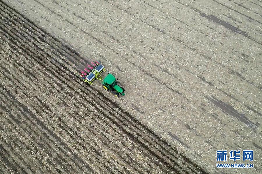 �����Aȫý�^�l���D�Ļ��ӣ���11����F���r�I̽��·�������Լ���������Ұ���