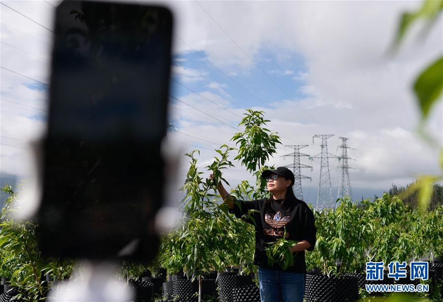 ���Q��Q��Óؚ���ԡ�����δժñؚ���h���D�Ļ��ӣ���4��12000��������N���c�����ɽ