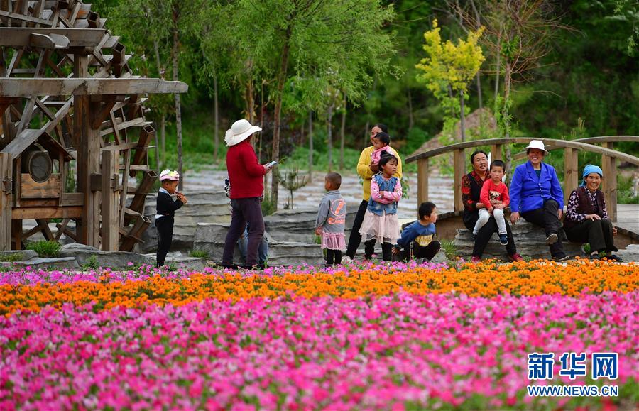 �����Aȫý�^�l�������҂���С������Q��(zh��n)�Q��Óؚ����(ji��n)���D�Ļ���(d��ng)����8��Óؚ���ɫ